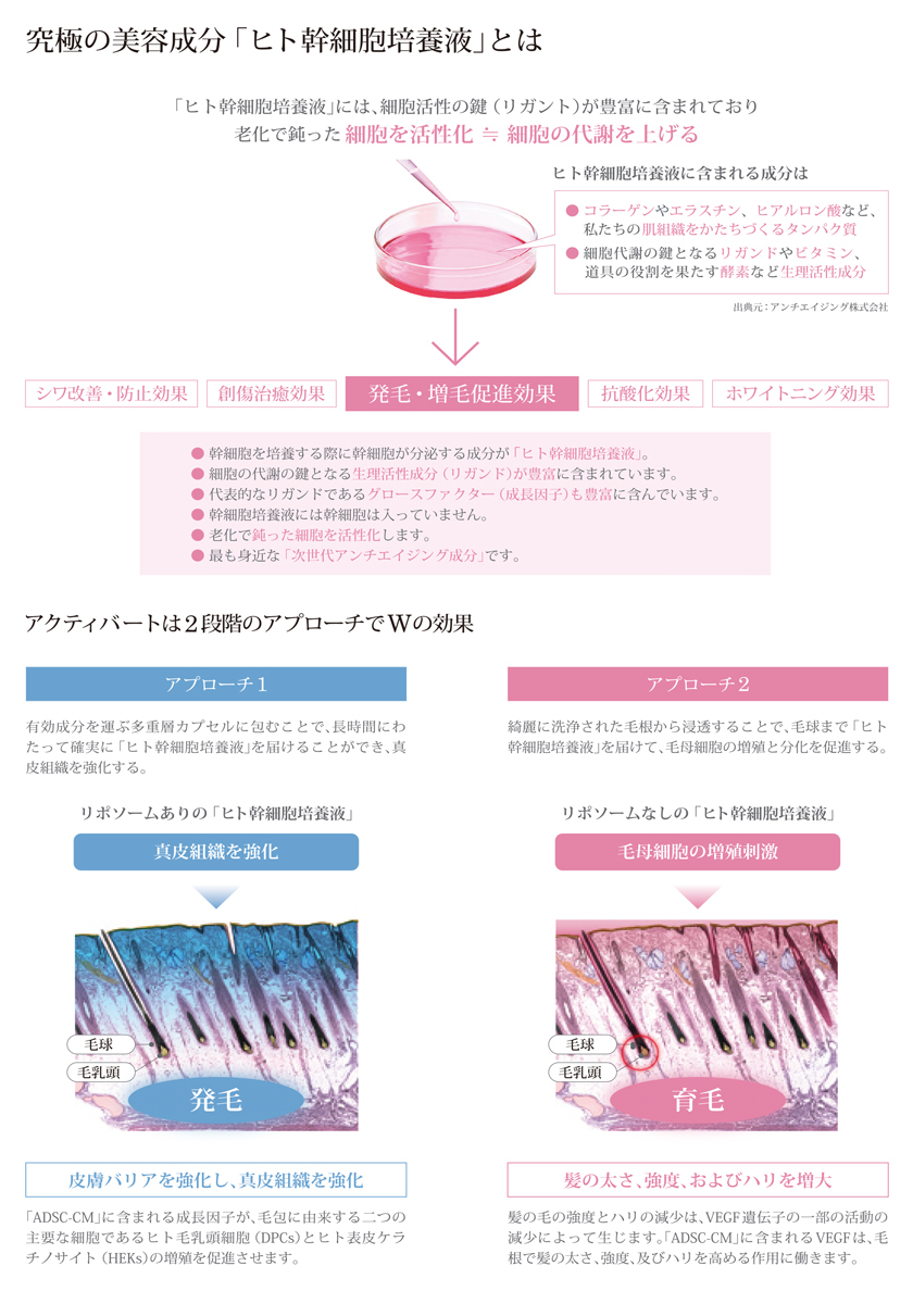 いラインアップ アクティバート ピュリファイング クレイマスク03